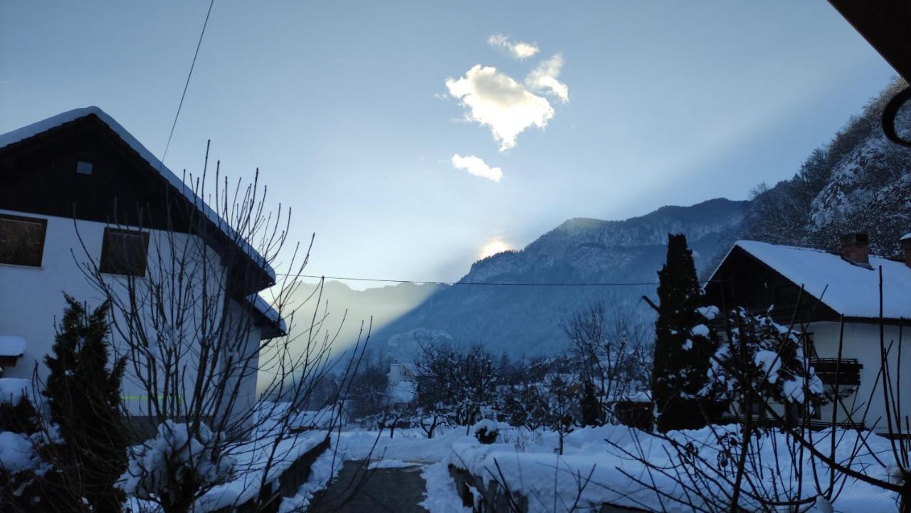 Hotel Alp House Bohinjska Bela Exterior foto